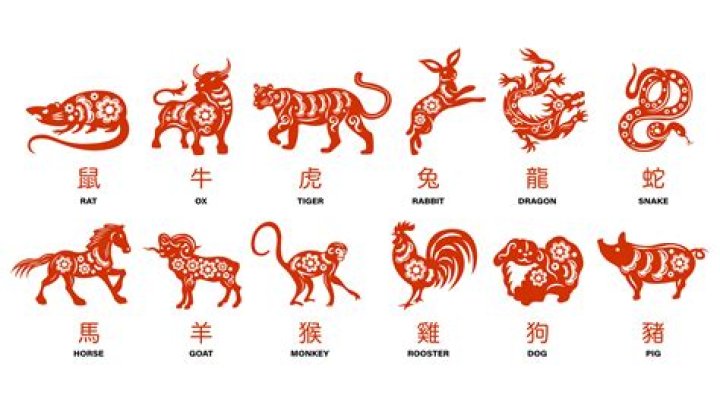 Unveiling the Mysteries of the 1991 Chinese Horoscope: Insights and Predictions