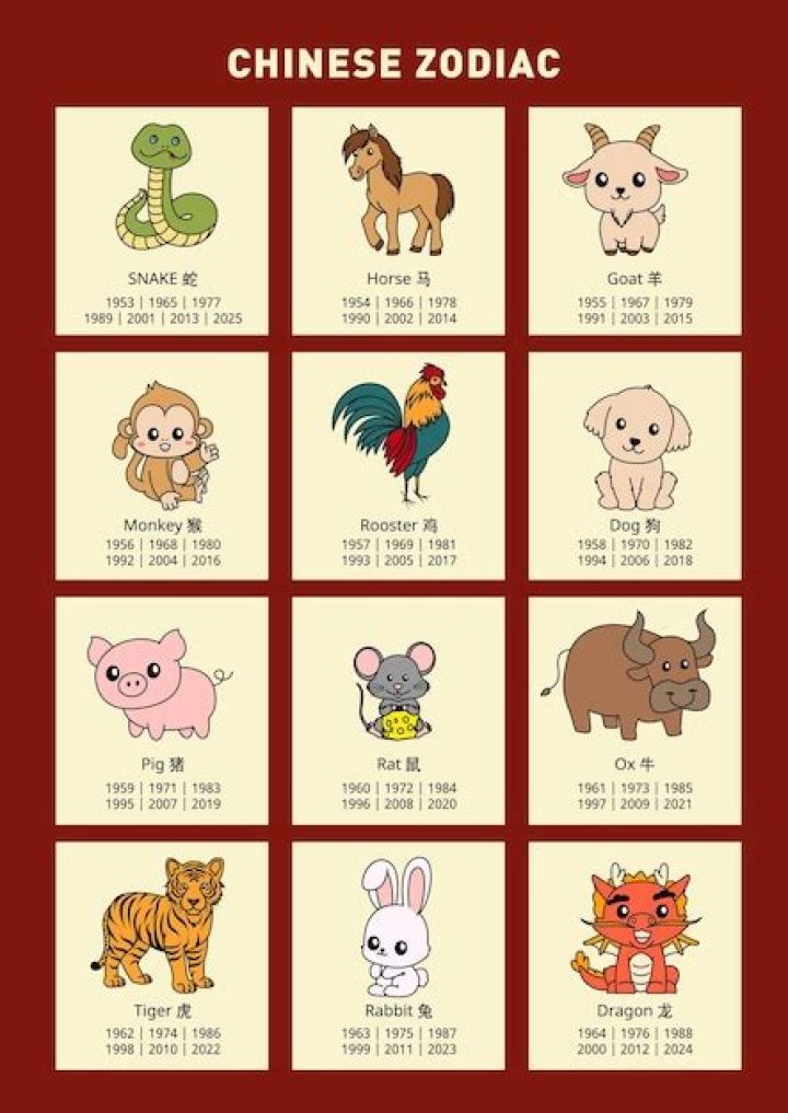 1991 Chinese Zodiac Ram: Discover Your Destiny and Personality Traits