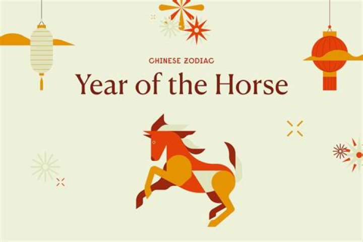 Unveiling the Mysteries of the 1991 Chinese Zodiac Year: Insights and Traditions