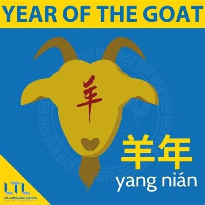Discover the Magic of 1991: The Year of the Goat