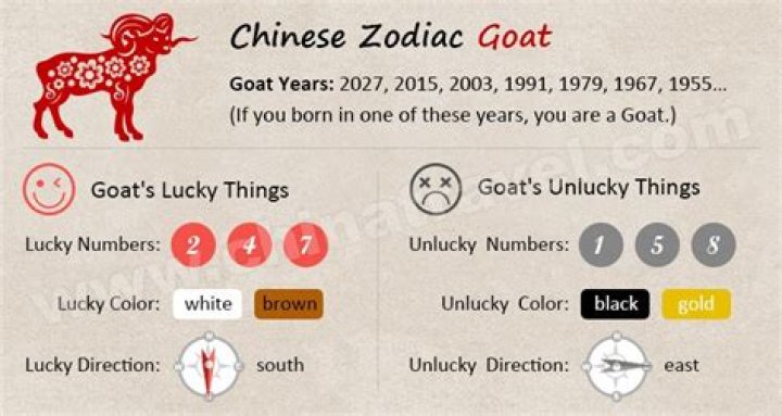 Unveiling the Mysteries of the 1991 Zodiac Chinese: A Comprehensive Guide