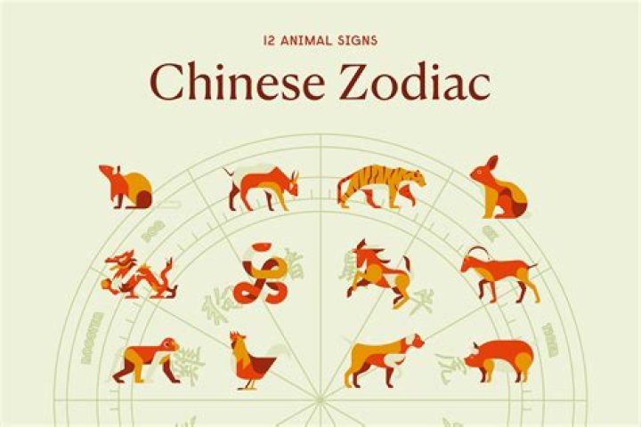 Unveiling the Mysteries of the 1991 Chinese Zodiac: Insights and Predictions