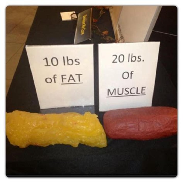 What Does 20 lbs of Fat Look Like? A Comprehensive Guide
