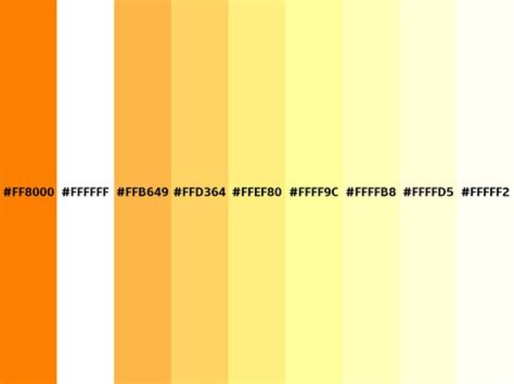 Unraveling the Mystery of 255 128: A Comprehensive Guide