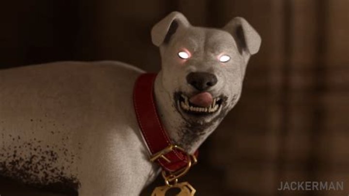 Unforgettable Jackerman Affair: A Wondrous Story