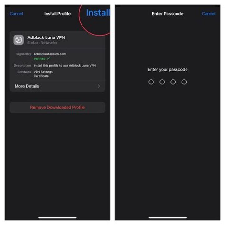 Exploring the Adblock Luna Profile: A Comprehensive Guide