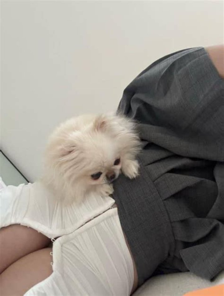 Anastasiy Kvitko: The Rise of a Social Media Sensation