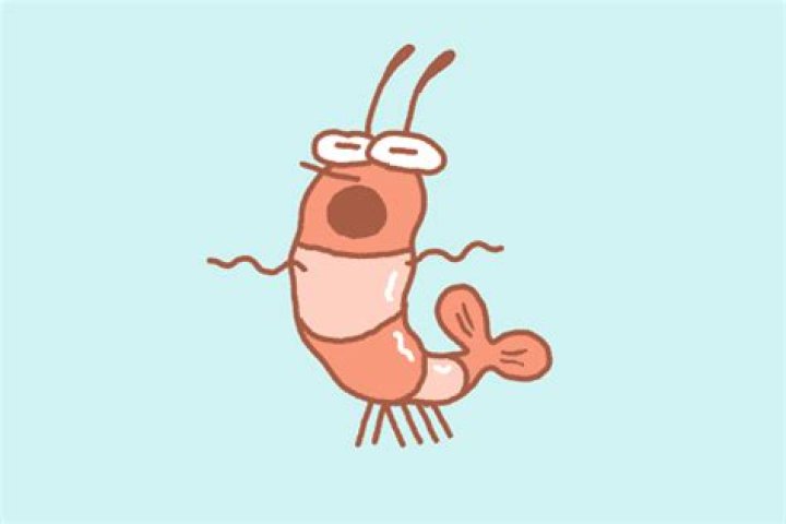 Discover the World of Animated Shrimp GIFs: A Trending Visual Phenomenon