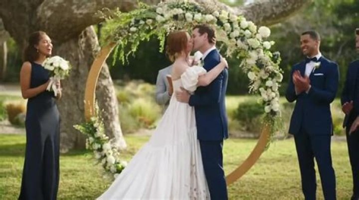 Ari Melber Wedding Pictures: A Closer Look at the Special Day