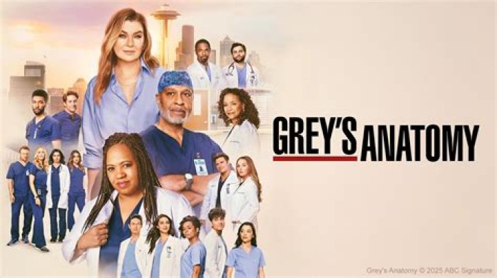 Bailey's Grey's Anatomy Journey: From Intern to Chief!