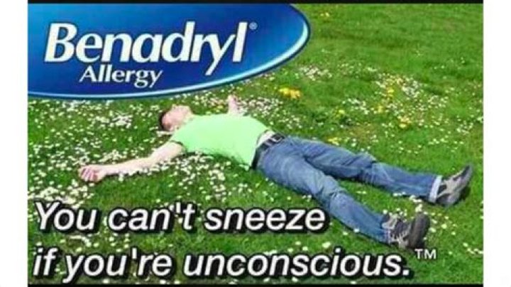 Exploring the Benadryl Meme Phenomenon: A Deep Dive into Internet Culture