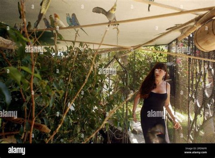 Bernadette Feazell: Unveiling the Life and Achievements of an Inspiring Figure