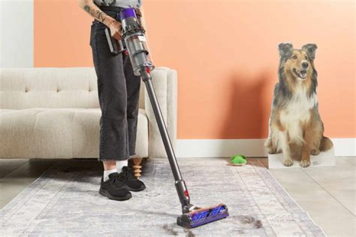 Best Pet Hair Vacuum: The Ultimate Guide to Keeping Your Home Fur-Free