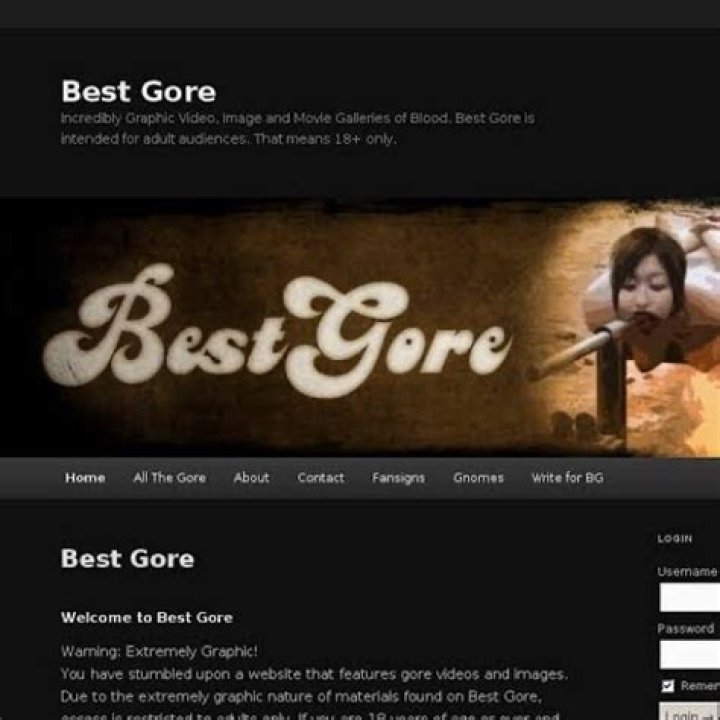 Bestgore.com: Exploring the Controversial Side of Online Content
