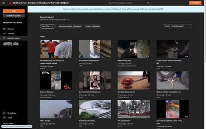 Discover the Ultimate Experience of Bestgore Fun: A Comprehensive Guide