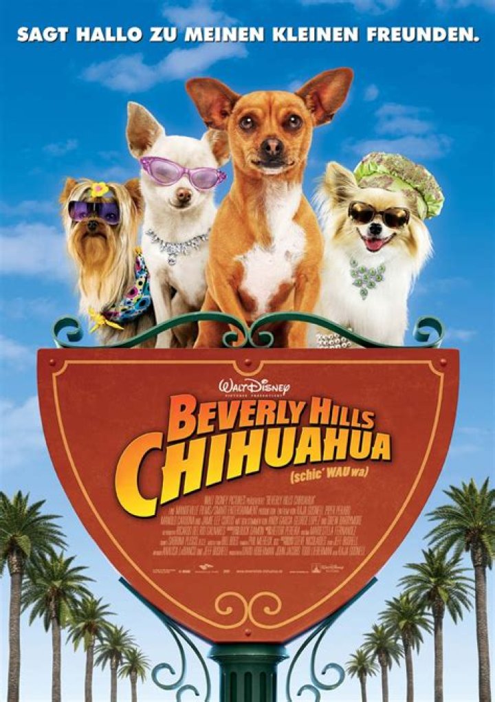 Beverly Hills Chihuahua 4: A Tail-Wagging Adventure for the Whole Family