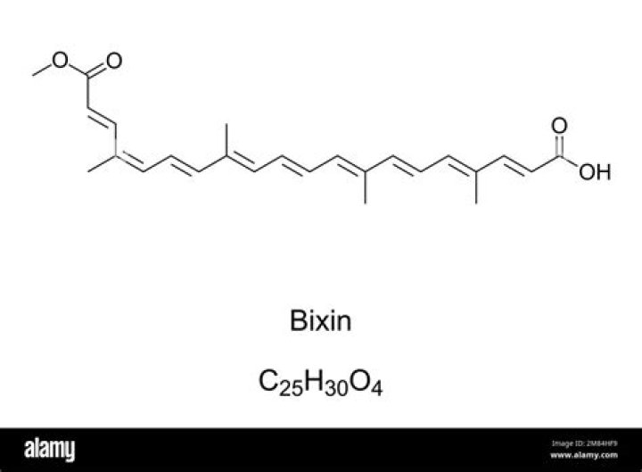 Bixin Video: The Ultimate Guide to Revolutionizing Your Video Experience