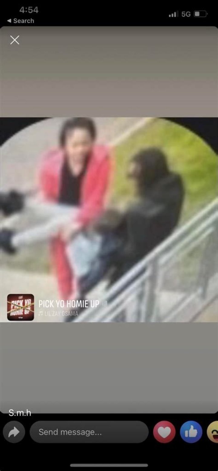 Bloodhound Lil Jeff Dead: Exploring His Life, Legacy, and Impact