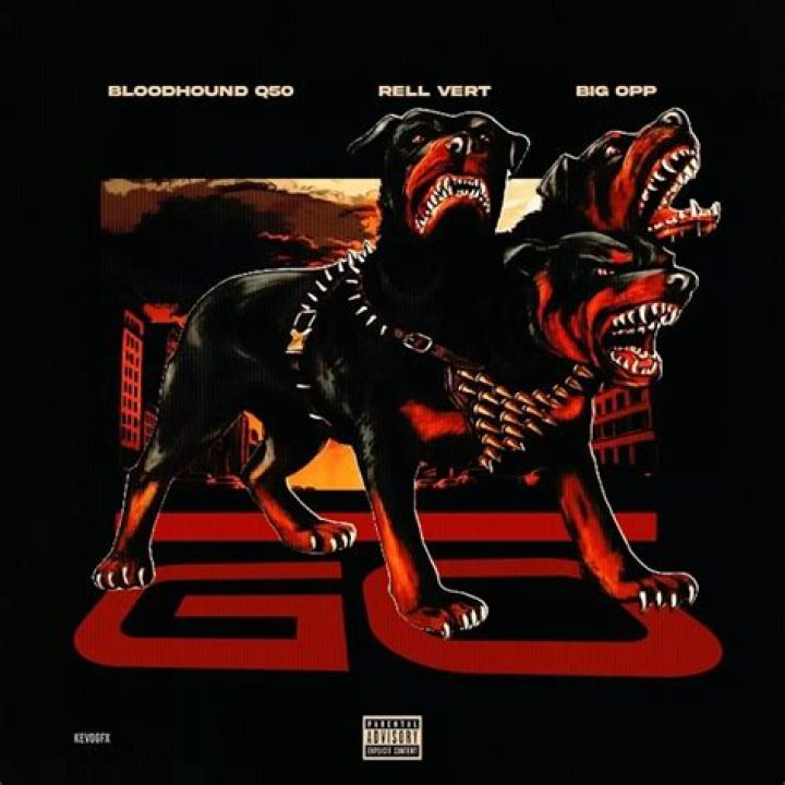 Bloodhound Q50 Price: A Comprehensive Guide to Understanding the Value and Features