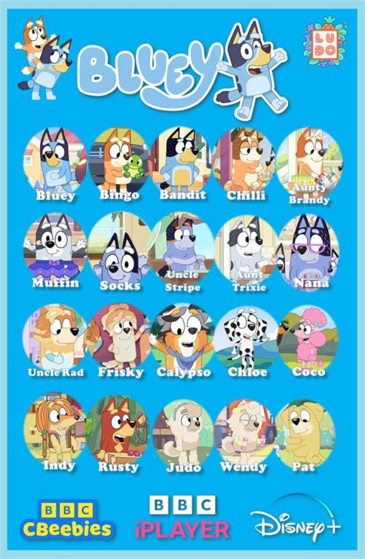 Meet the Bluey Cast: Adorable Voice Actors!