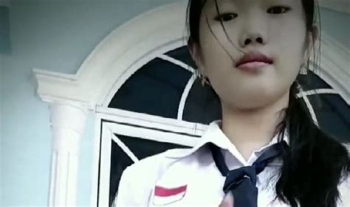 Exploring the Controversy and Impact of Bokep Indonesia: A Comprehensive Guide