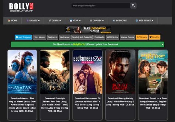 BollyFlix 2024: Your Ultimate Guide to Streaming Bollywood Movies