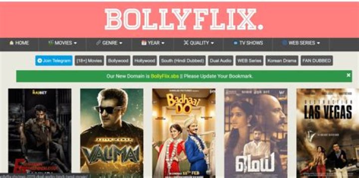 Top Bollywood Movies on BollyFlix: Must-See!