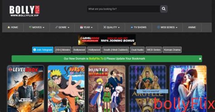 BollyFlix Ninja: Your Ultimate Guide to Streaming Bollywood Movies