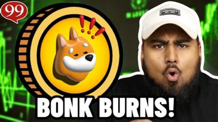 Is Bonk Back? The Official Return and Everything You Need to Know