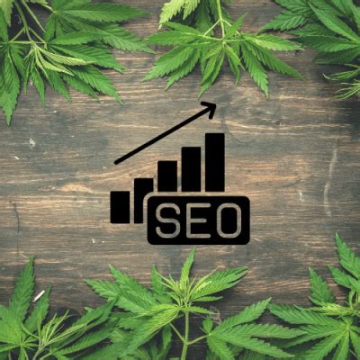 Cannabis SEO Agencies: The Key to Unlocking Growth in the Cannabis Industry