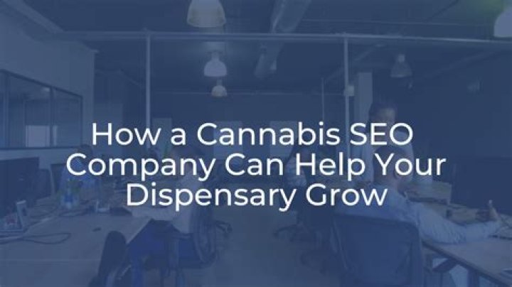 Cannabis SEO Company: Your Key to Dominating the Cannabis Industry Online
