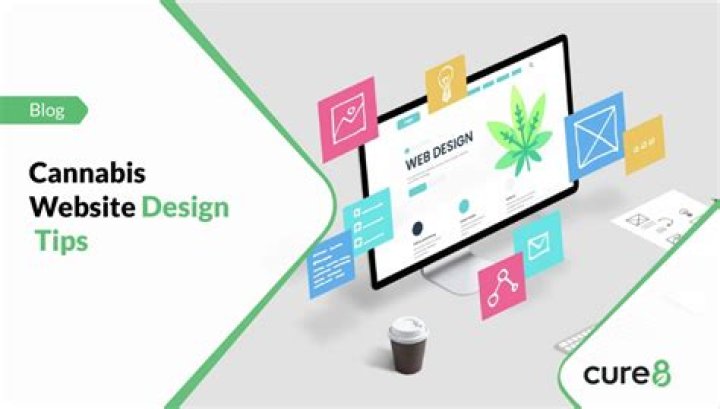 Cannabis Website Design: Elevating Your Brand in the Cannabis Industry