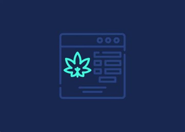 Cannabis Website Development: Your Ultimate Guide to Building a Thriving Online Presence