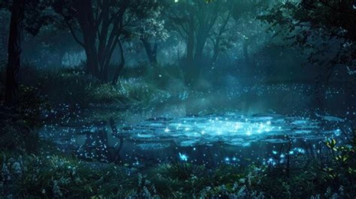 Captivating Journey Into: Exploring the Depths of Adventure and Discovery