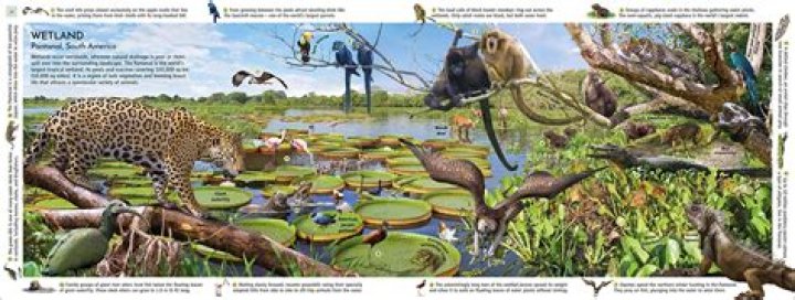 Captivating Photos of Kane Brown: A Visual Journey Through His Life and Career