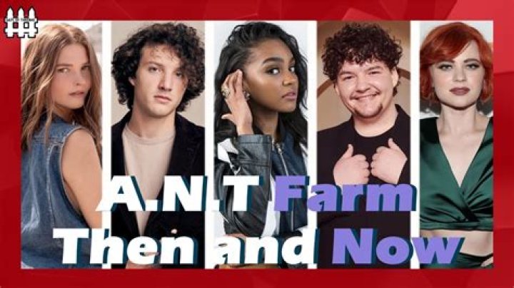 Cast on Ant Farm: A Comprehensive Guide to Creating a Thriving Ant Habitat