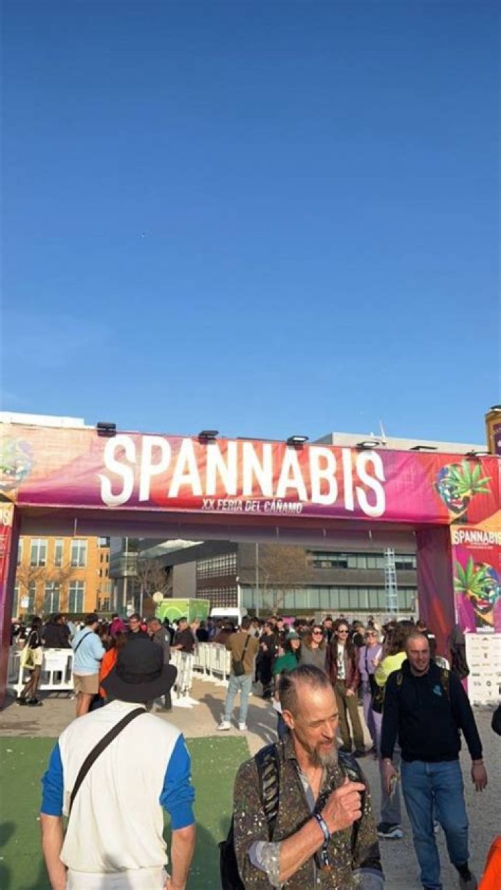 CBD Local SEO: The Ultimate Guide to Boost Your Business Visibility