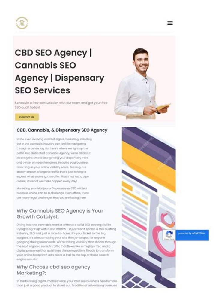 CBD SEO Agency: Your Gateway to Digital Success