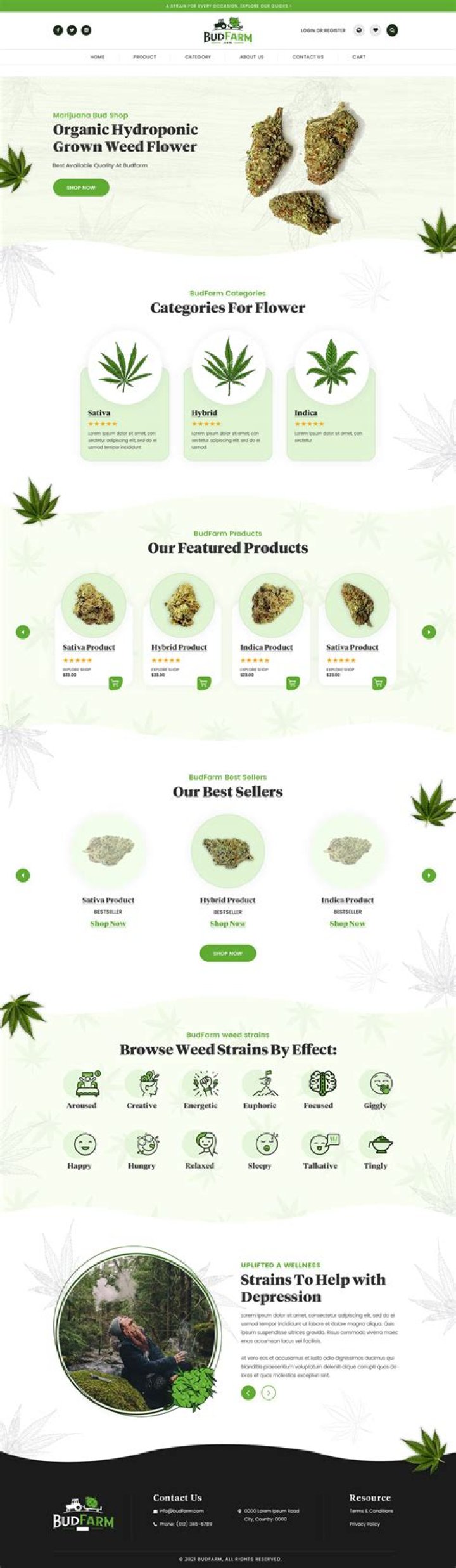 CBD Web Design: Elevate Your Online Presence with Expert Strategies