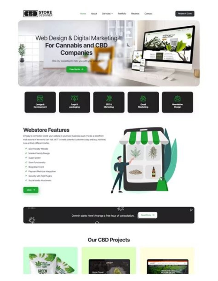 CBD Website Design Company: Your Ultimate Guide to Expert Web Solutions