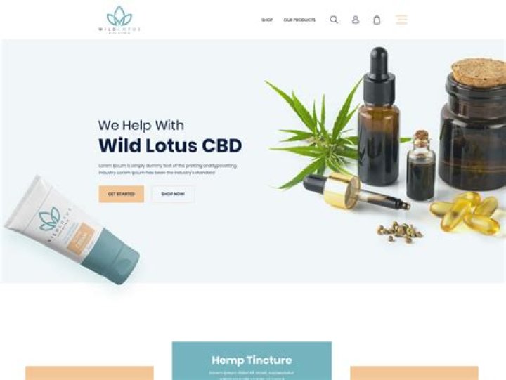 CBD Website Design: The Ultimate Guide to Creating a High-Converting Cannabis Business Website