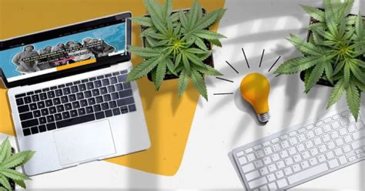 CBD Website Development: Your Ultimate Guide to Boosting Your Business Online
