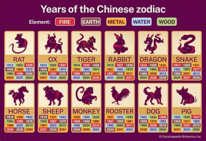 Unveiling the Mysteries of the Chinese Year Sign 1991: Insights and Meanings