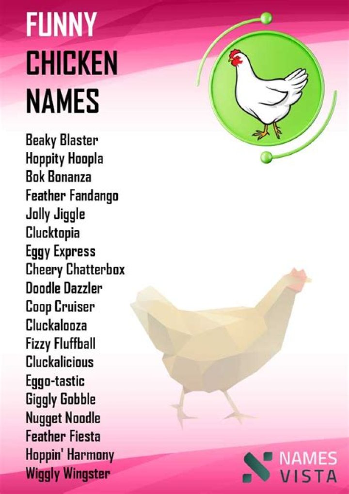 Clucking Hilarity: A Guide to Funny Chicken Names