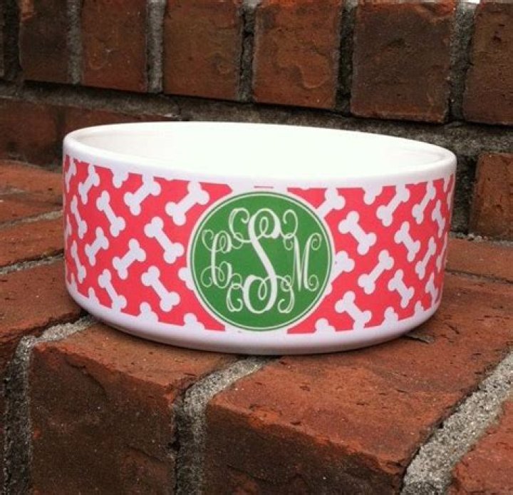 Color Me Mine Dog Bowl: A Complete Guide to Personalized Pet Bowls