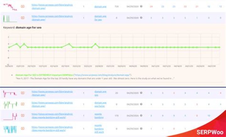 Daily SEO Rank Tracking: A Comprehensive Guide to Boost Your Website's Performance