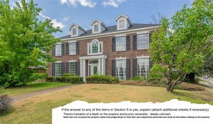 Darlie Routier: Top Designer Expert Tips for Aspiring Creatives