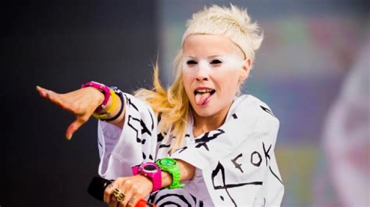 Die Antwoord Net Worth: Exploring the Wealth of South Africa's Iconic Music Duo