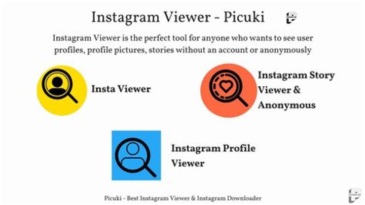 Discovering Picuki: The Ultimate Instagram Viewer Tool
