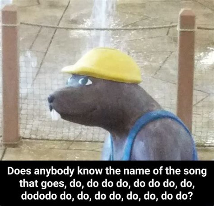 Do Do Do Do Dododo: A Comprehensive Exploration of the Phenomenon